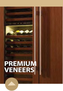 Premium Veneers